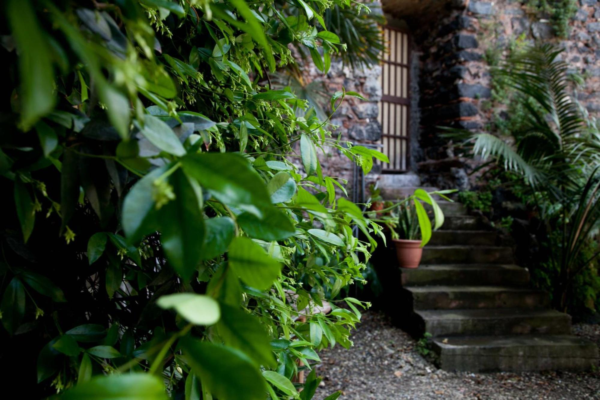 Alcala Living Apartment Deluxe Bed & Breakfast