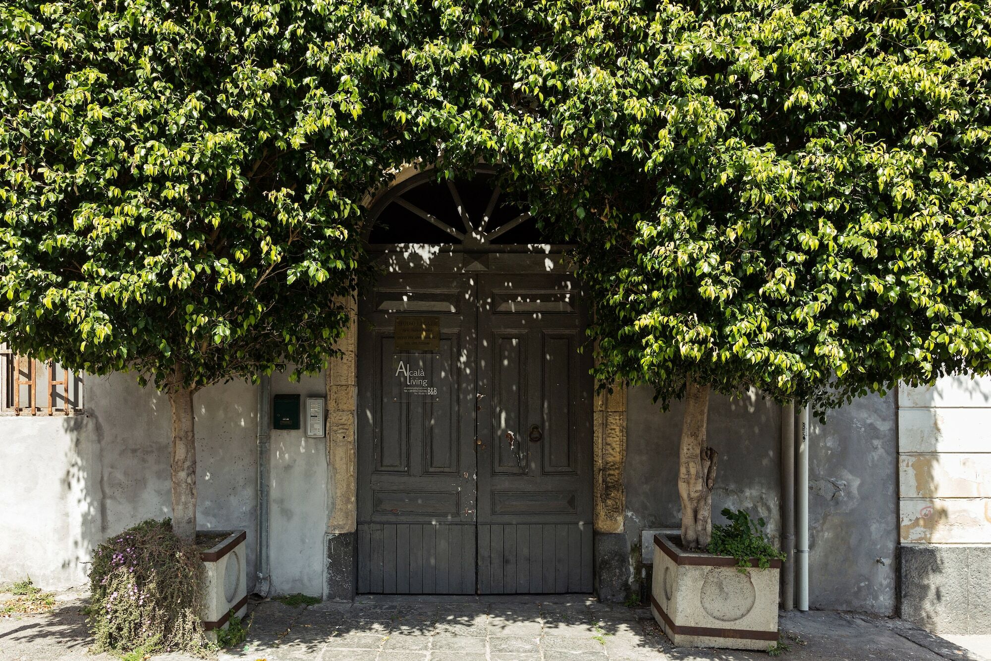 Alcala Living Apartment Deluxe Bed & Breakfast Catania
