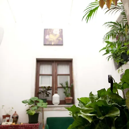 Alcala Living Apartment Deluxe Catania Exterior photo